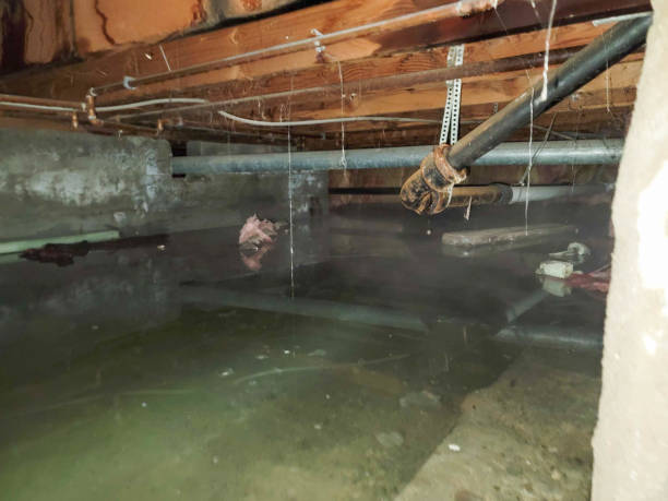 Best Water damage contractors near me  in Chualar, CA