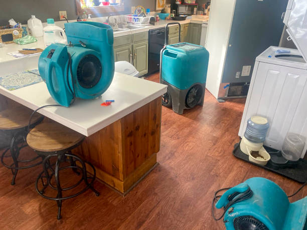 Best Fire Damage Restoration  in Chualar, CA
