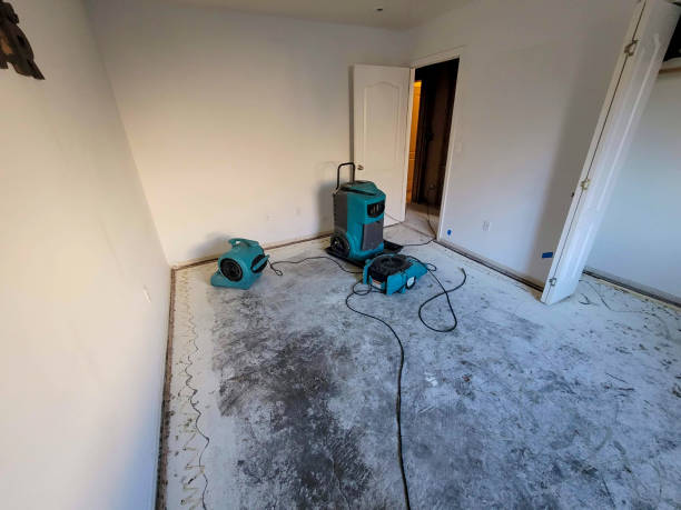 Water damage restoration mold remediation in CA