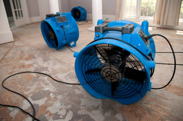 Best Water damage restoration company  in Chualar, CA